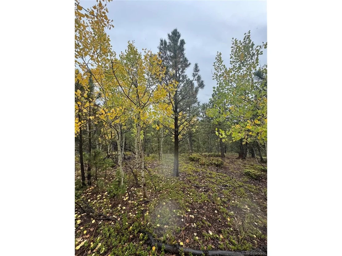 Photo of 7935 County Road 51