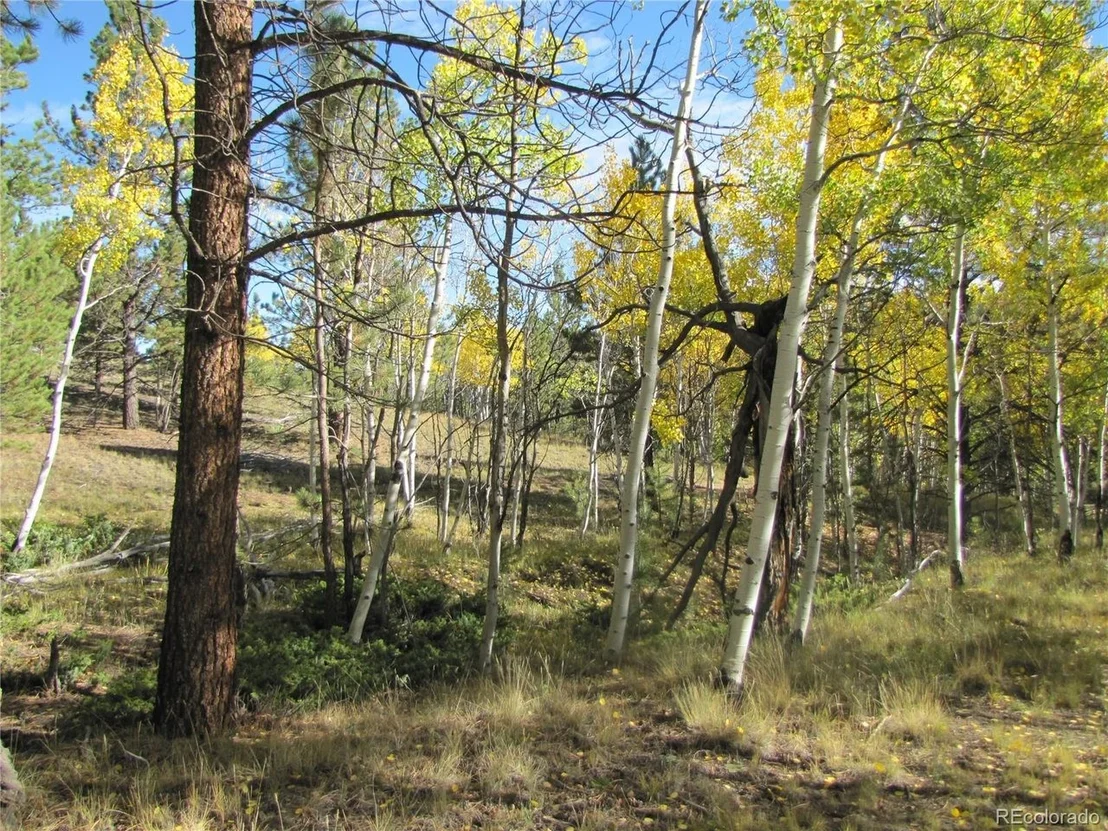 Photo of 700 Campfire Rd
