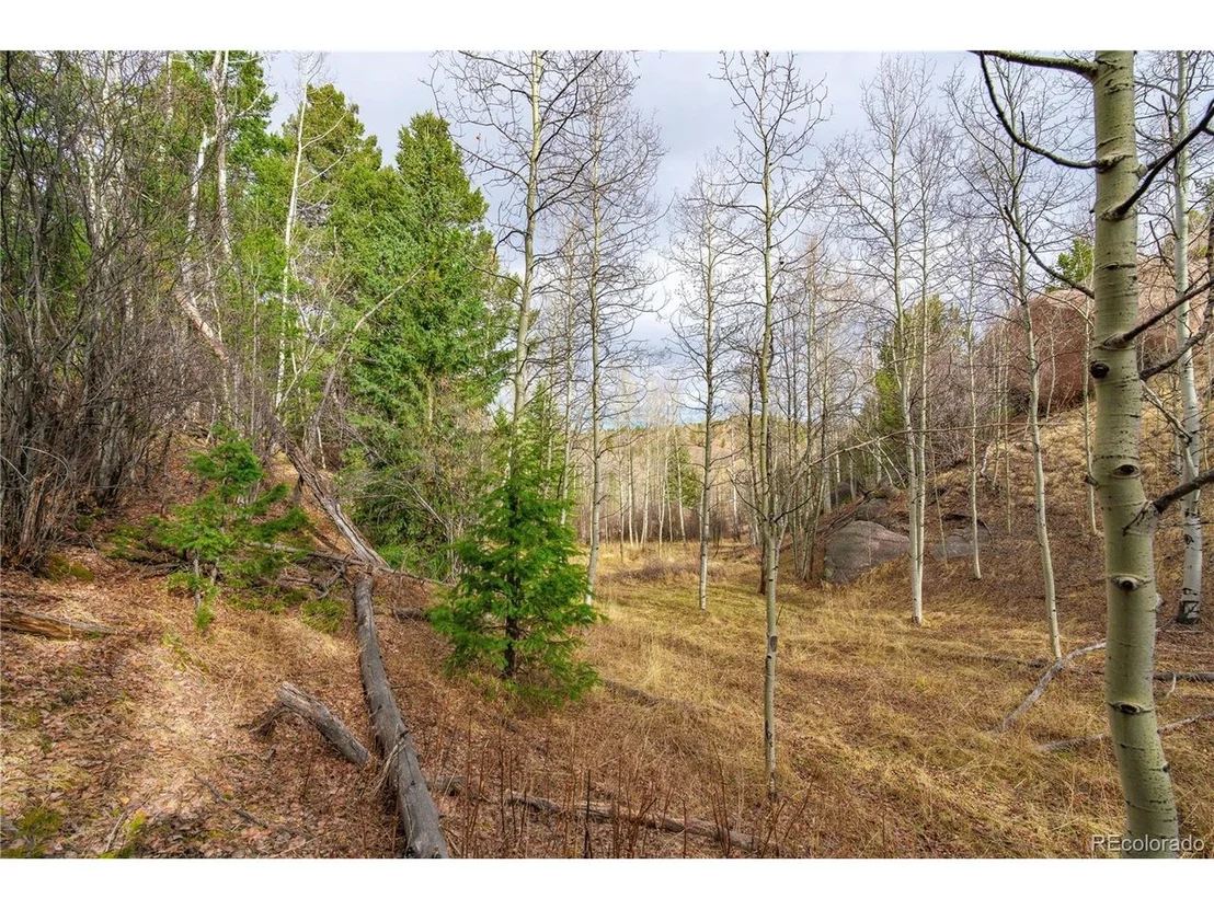 Photo of 130 Grey Eagle Way