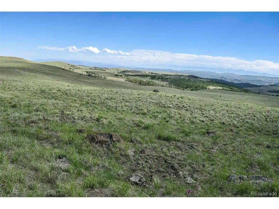 Photo of 0 Bear Cat Rd