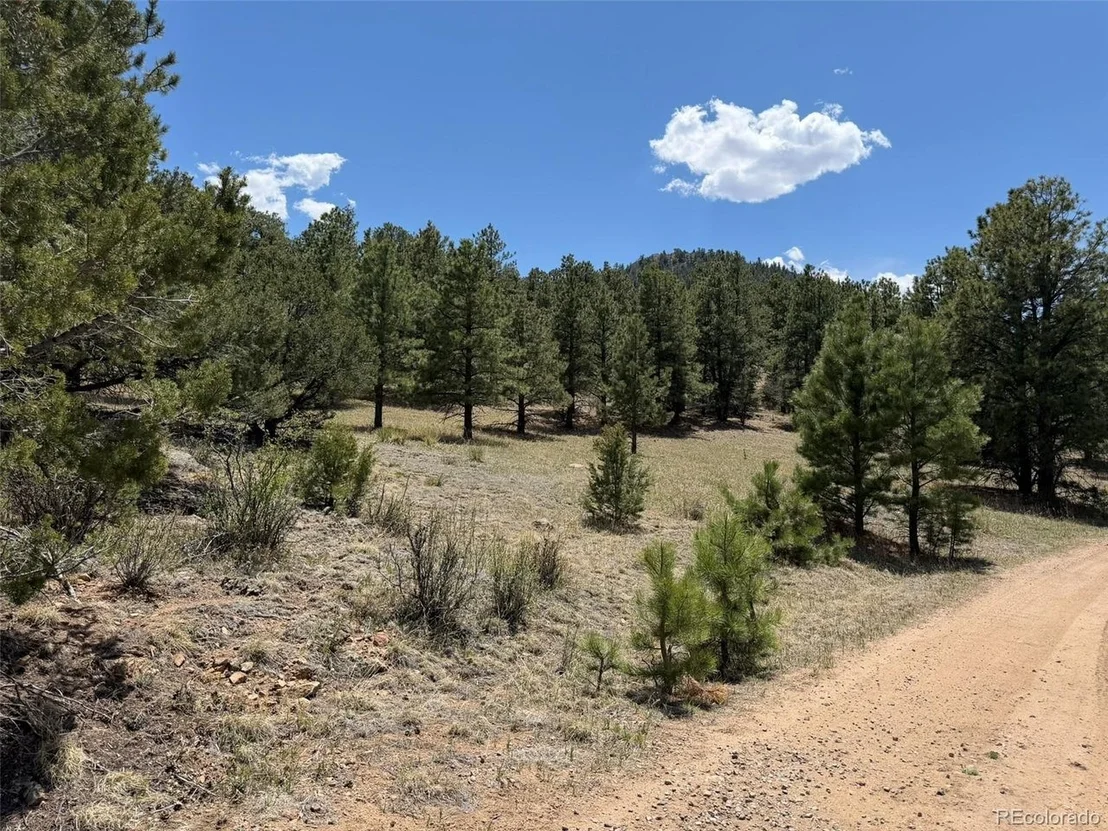 Photo of 477 Bear Peak Rd