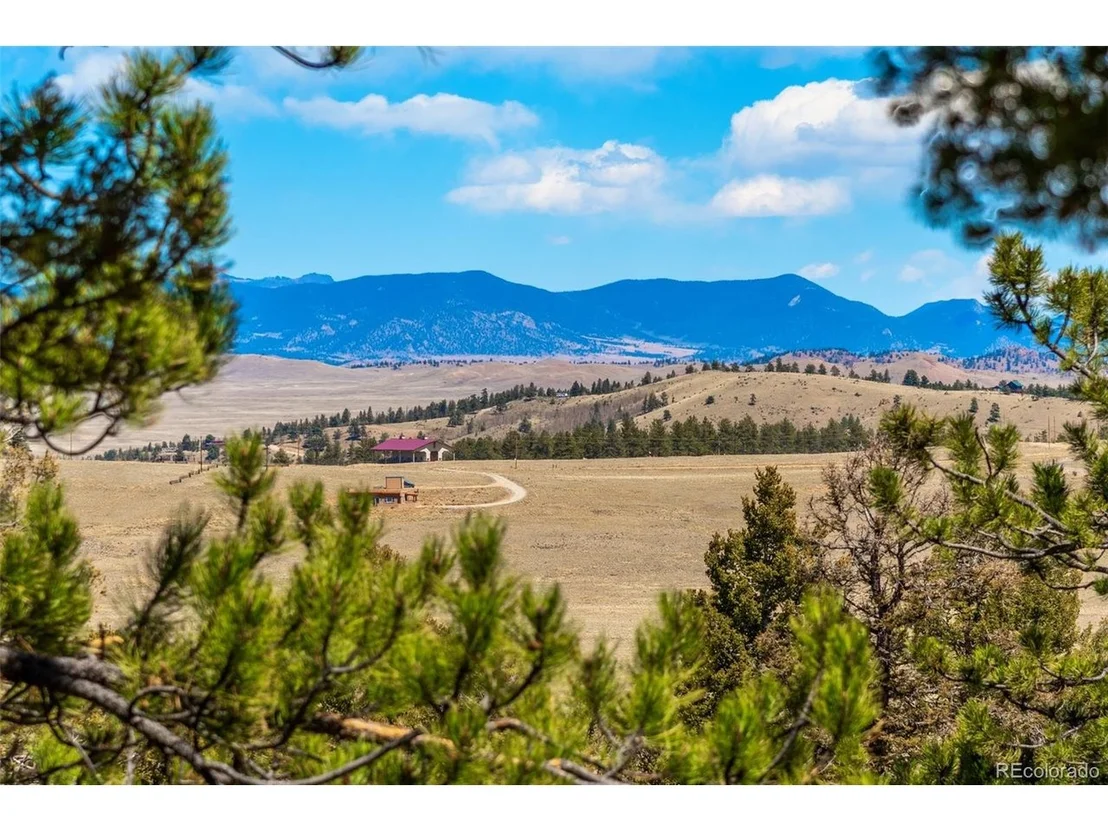 Photo of 4091 Singletree Rd