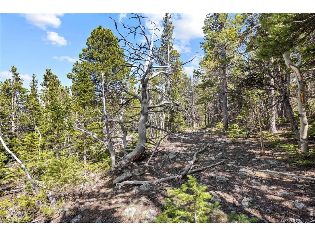 Photo of 1199 Brainard Lake Rd