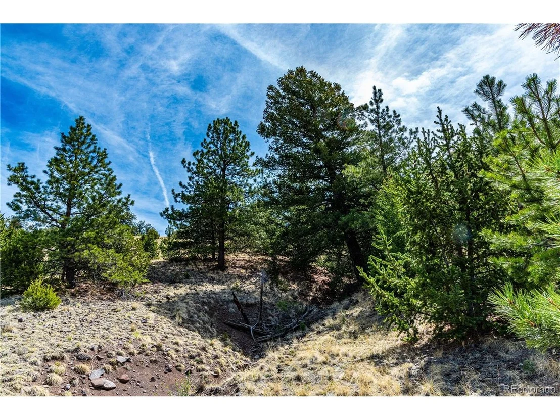 Photo of 1282 County Road 169a