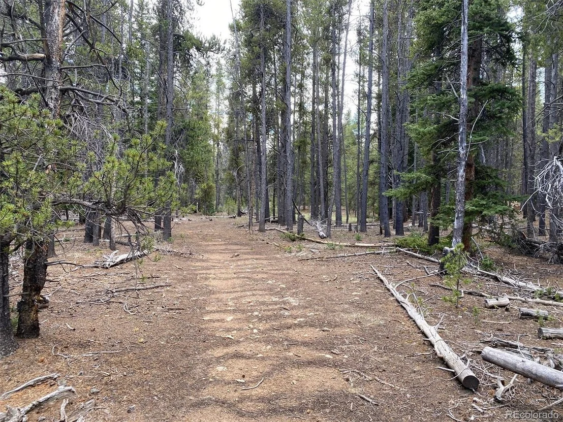 Photo of County Road 50