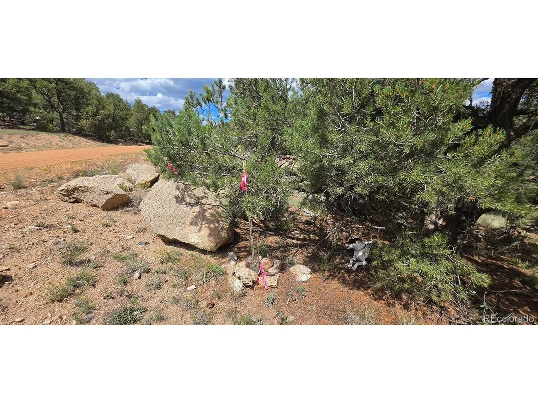 Photo of 638 Keith Ln