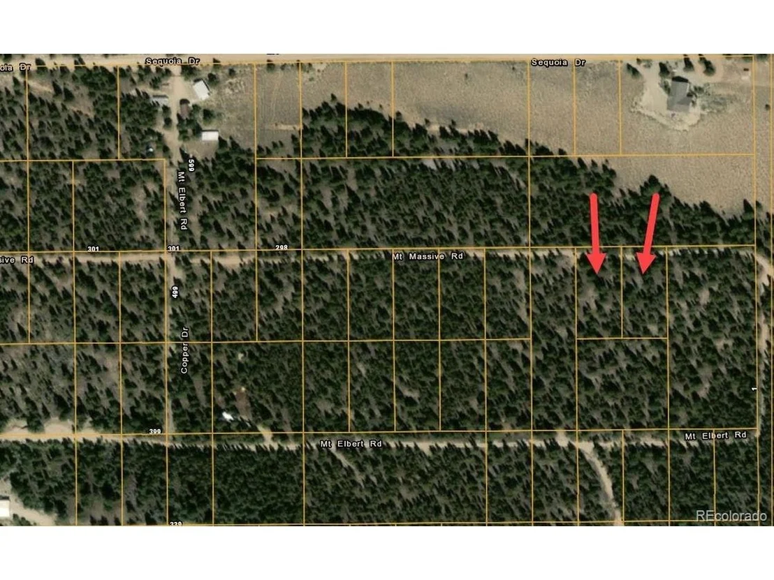 Photo of 66 Mount Massive Rd
