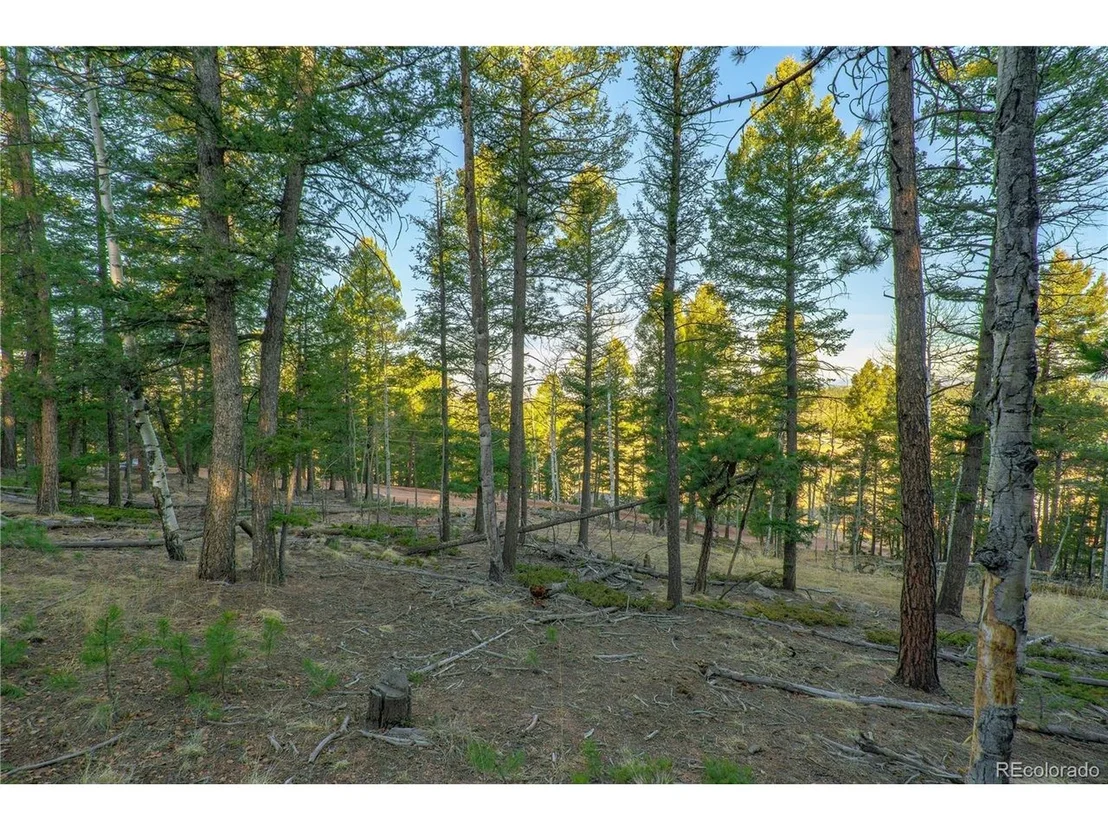Photo of 88 Malmsey Ln