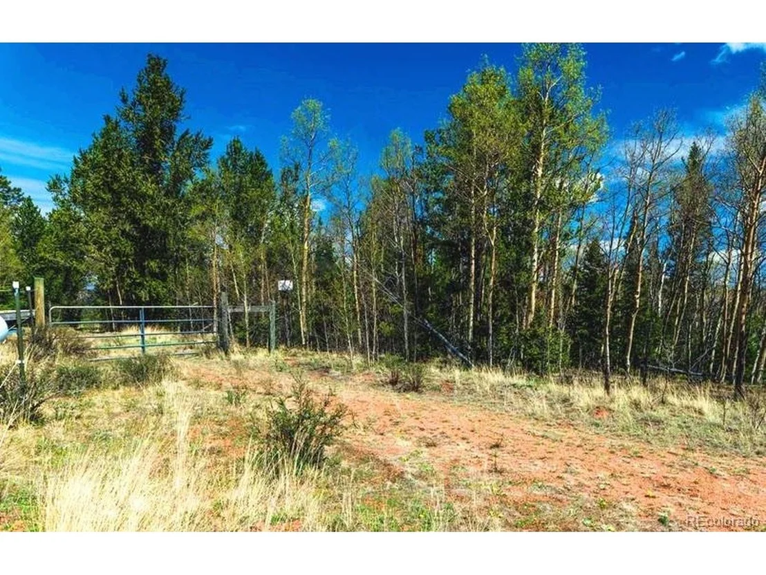 Photo of 977 County Road 61