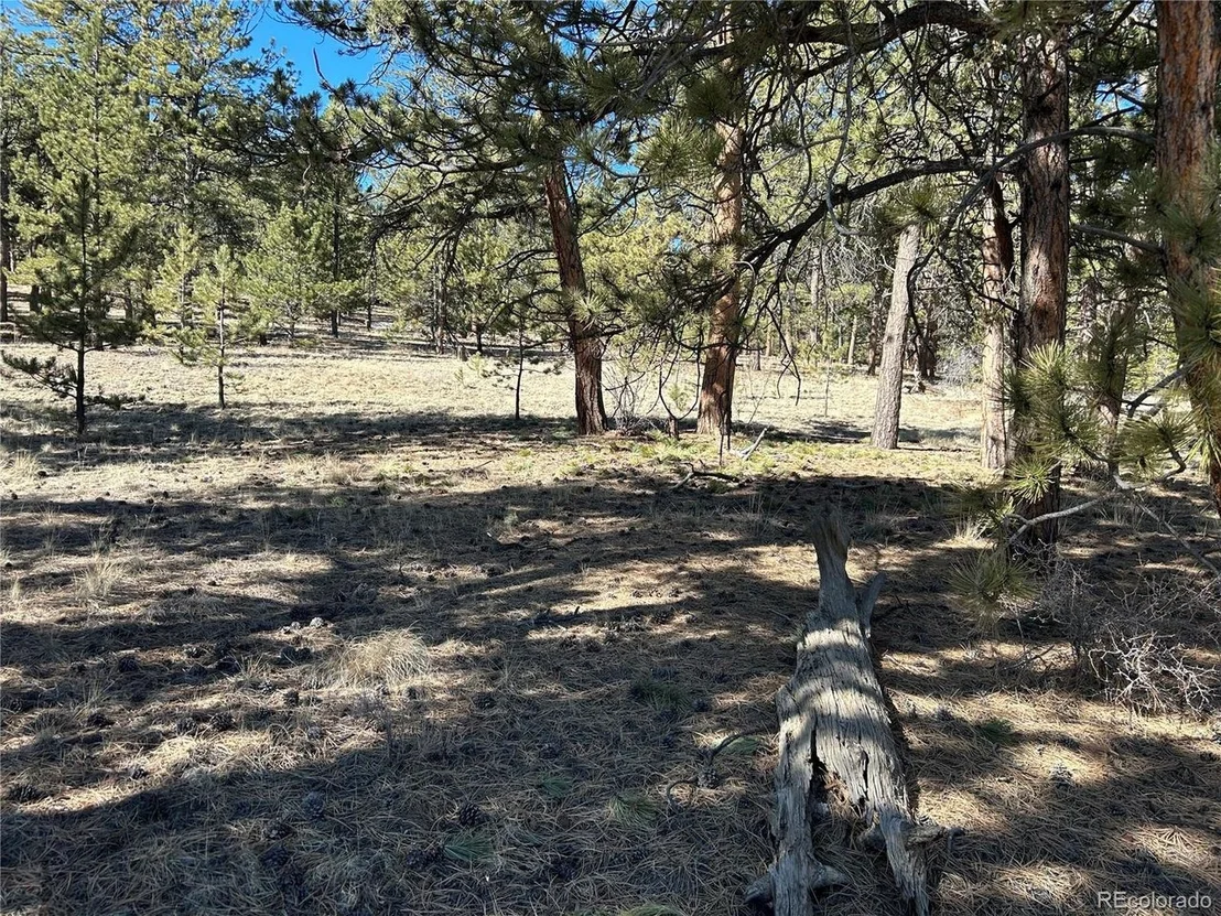 Photo of 147 Haystack Rd