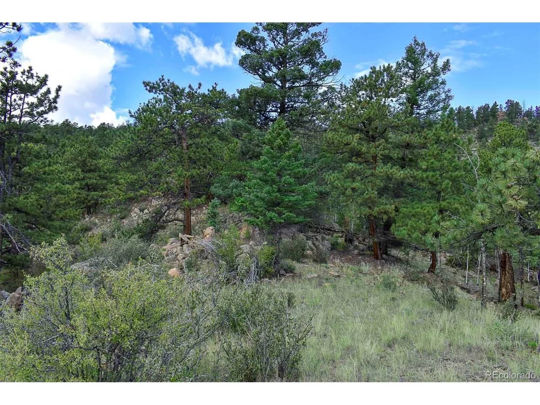Photo of 281 Deer Ln