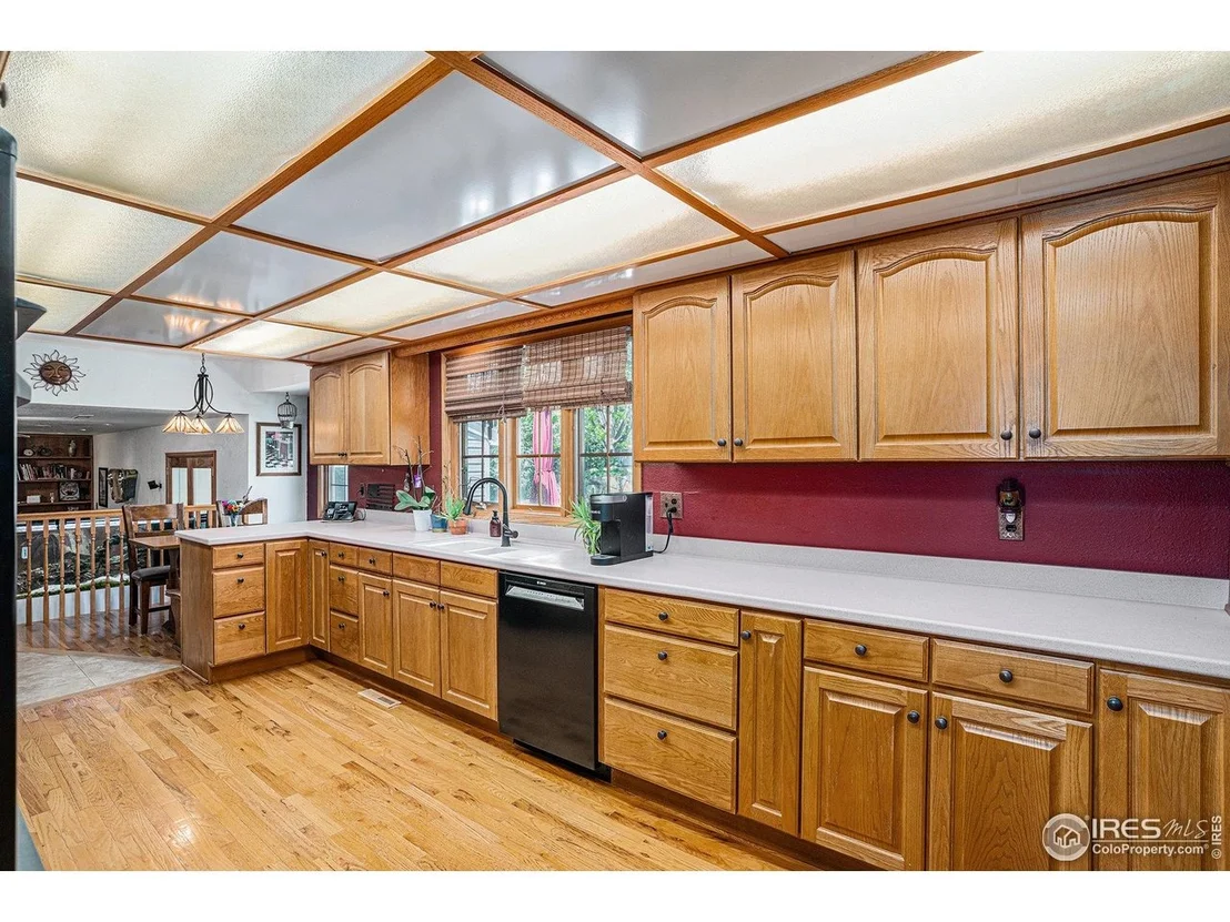 Photo of 514 Palisade Mountain Dr