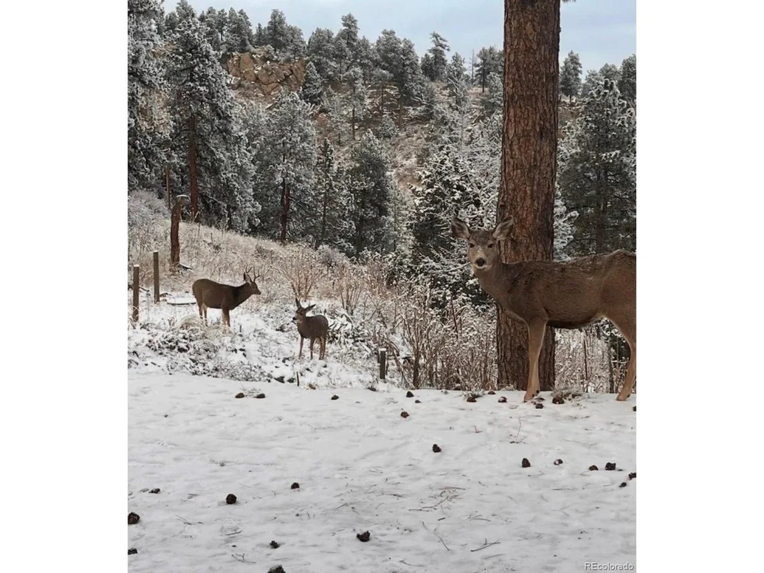 Photo of 280 Bunny Rd