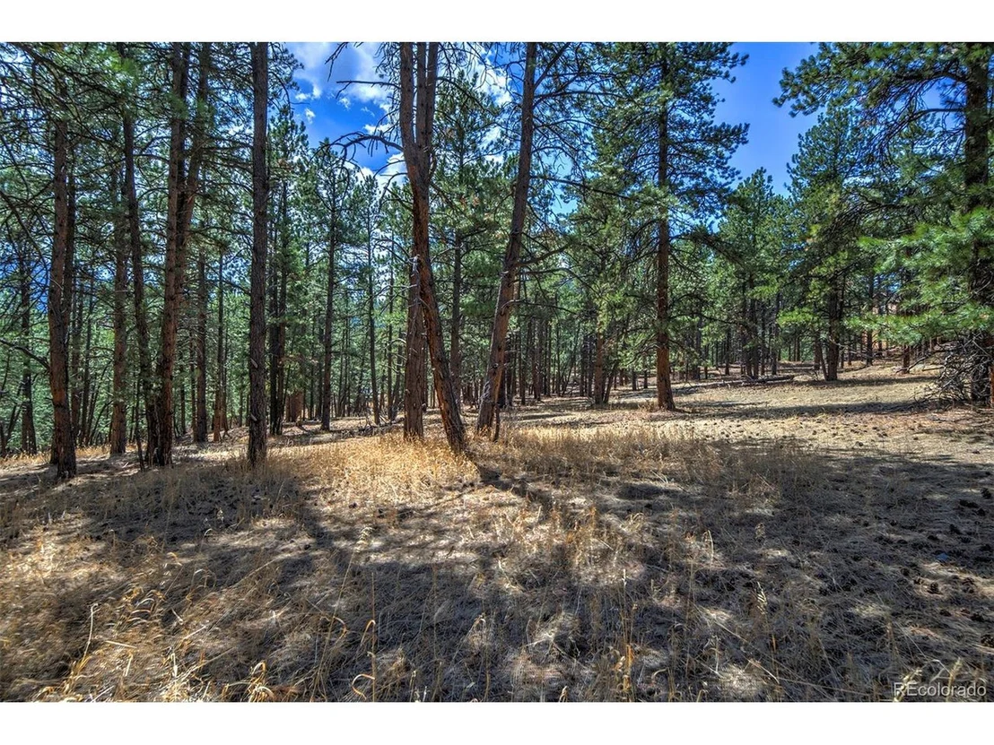 Photo of 27554 Pine Valley Dr