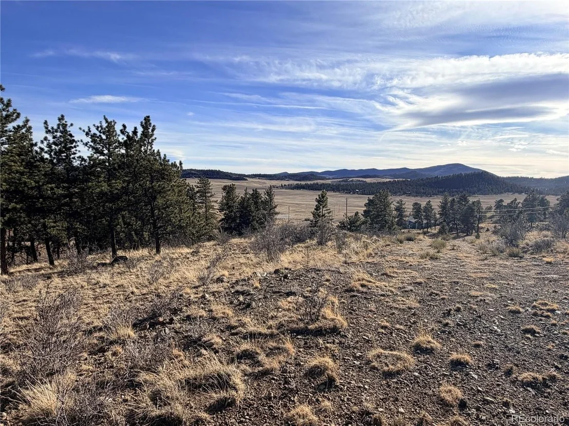 Photo of 729 Bridle Path