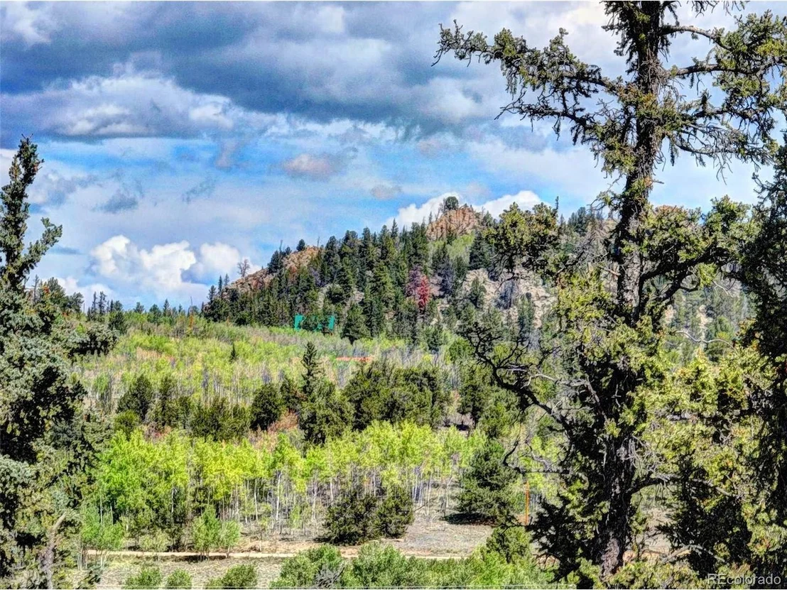 Photo of 75 Swiggler Rd