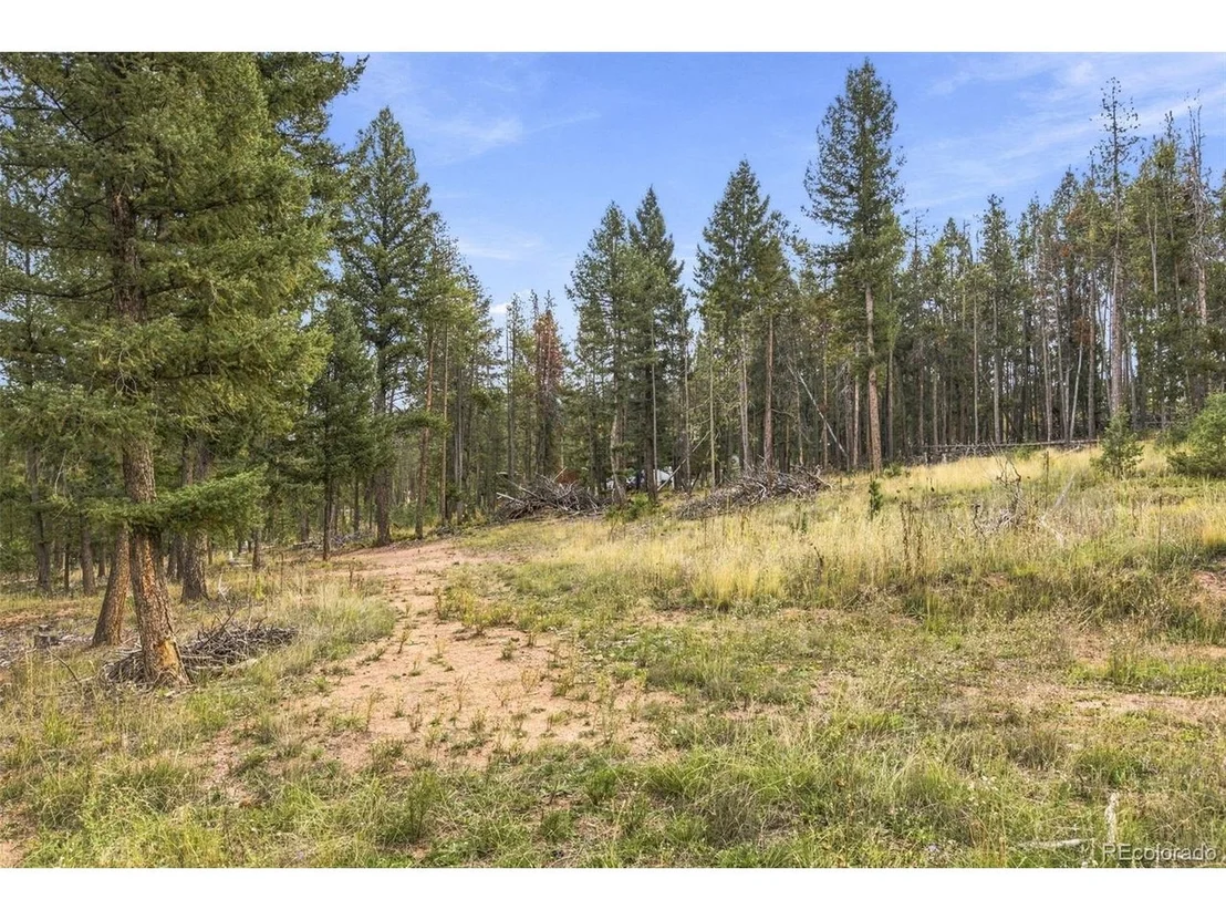Photo of 27687 Pine Grove Trl