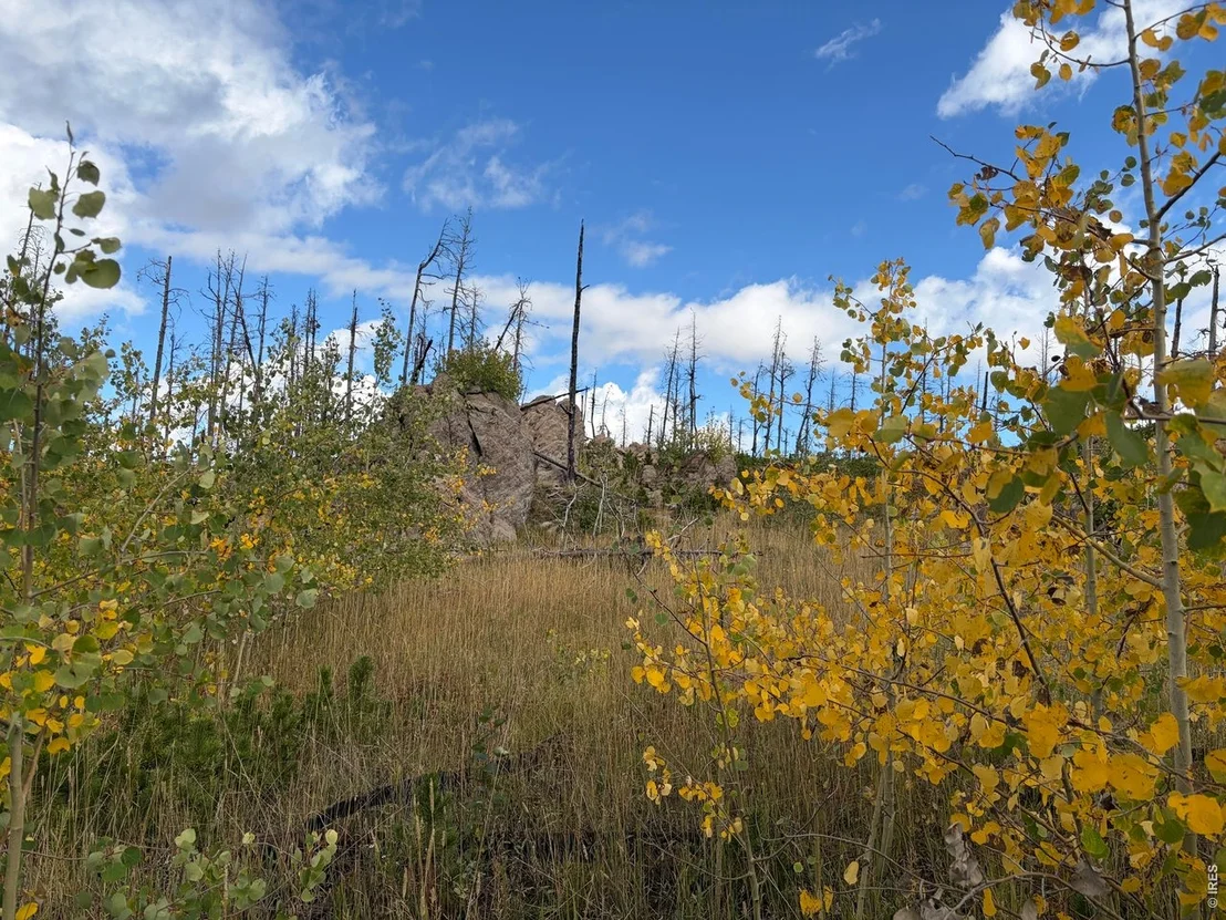 Photo of 2025 Granite Rd