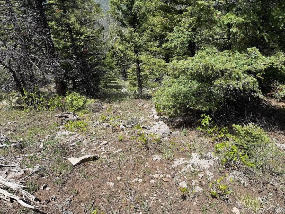 Photo of Knotty Pine Rd