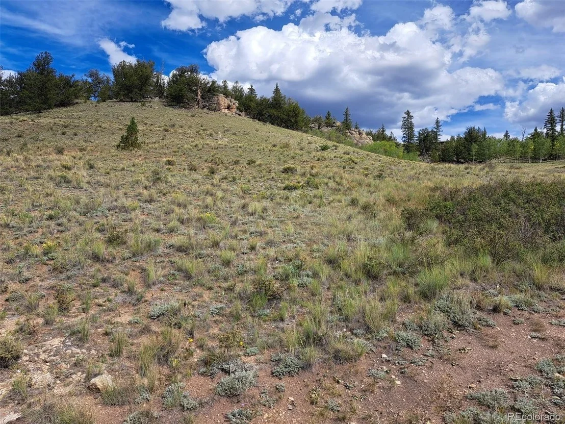 Photo of 736 Stagestop Rd