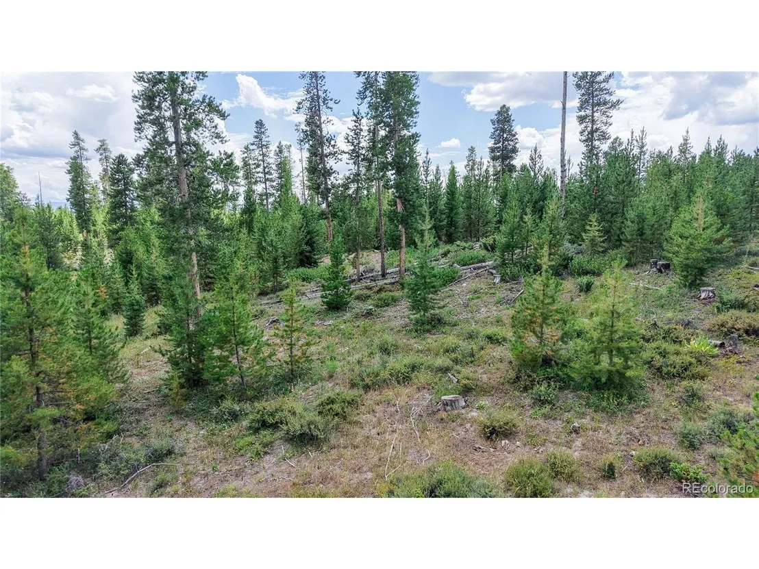 Photo of 90 County Road 452