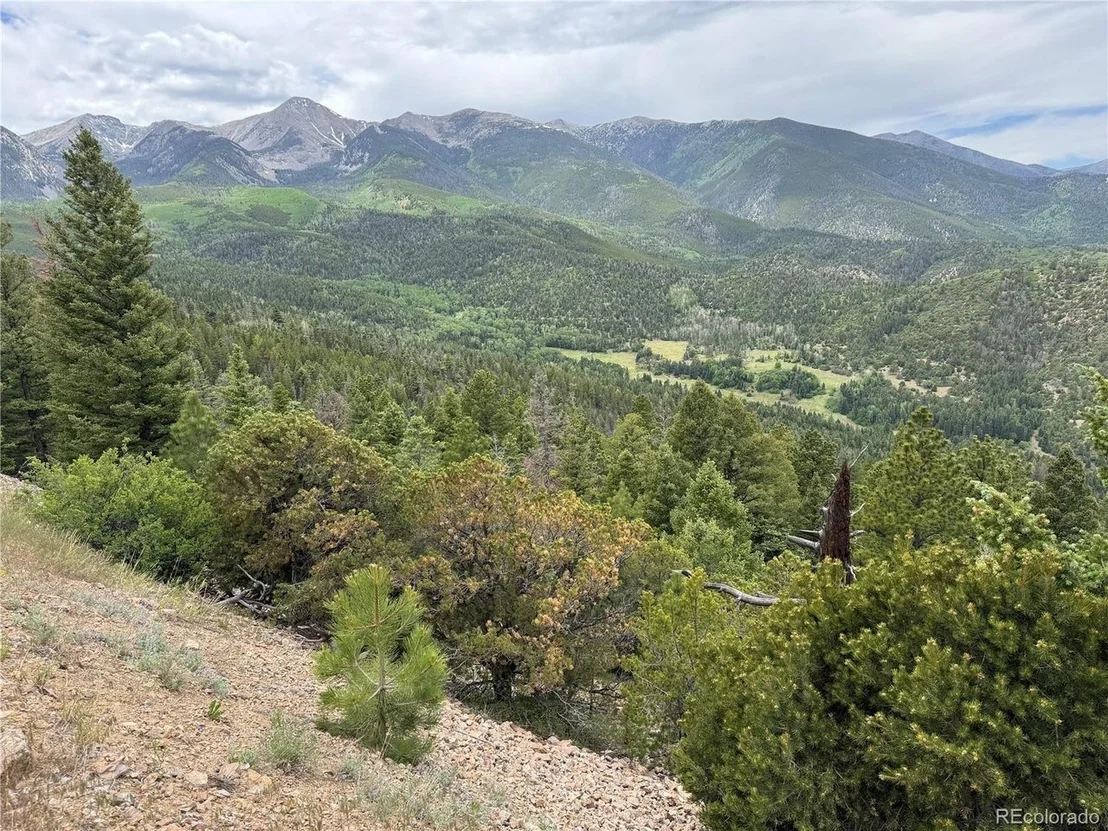 Photo of Knotty Pine Rd