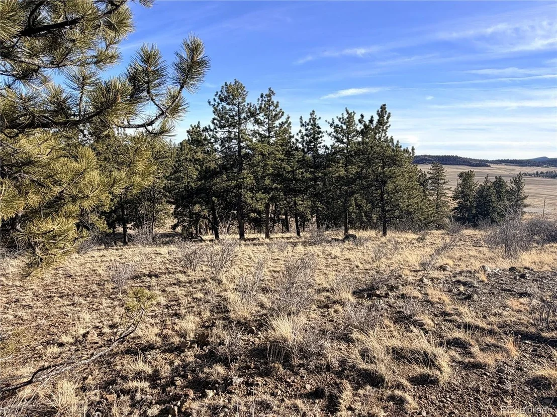 Photo of 729 Bridle Path