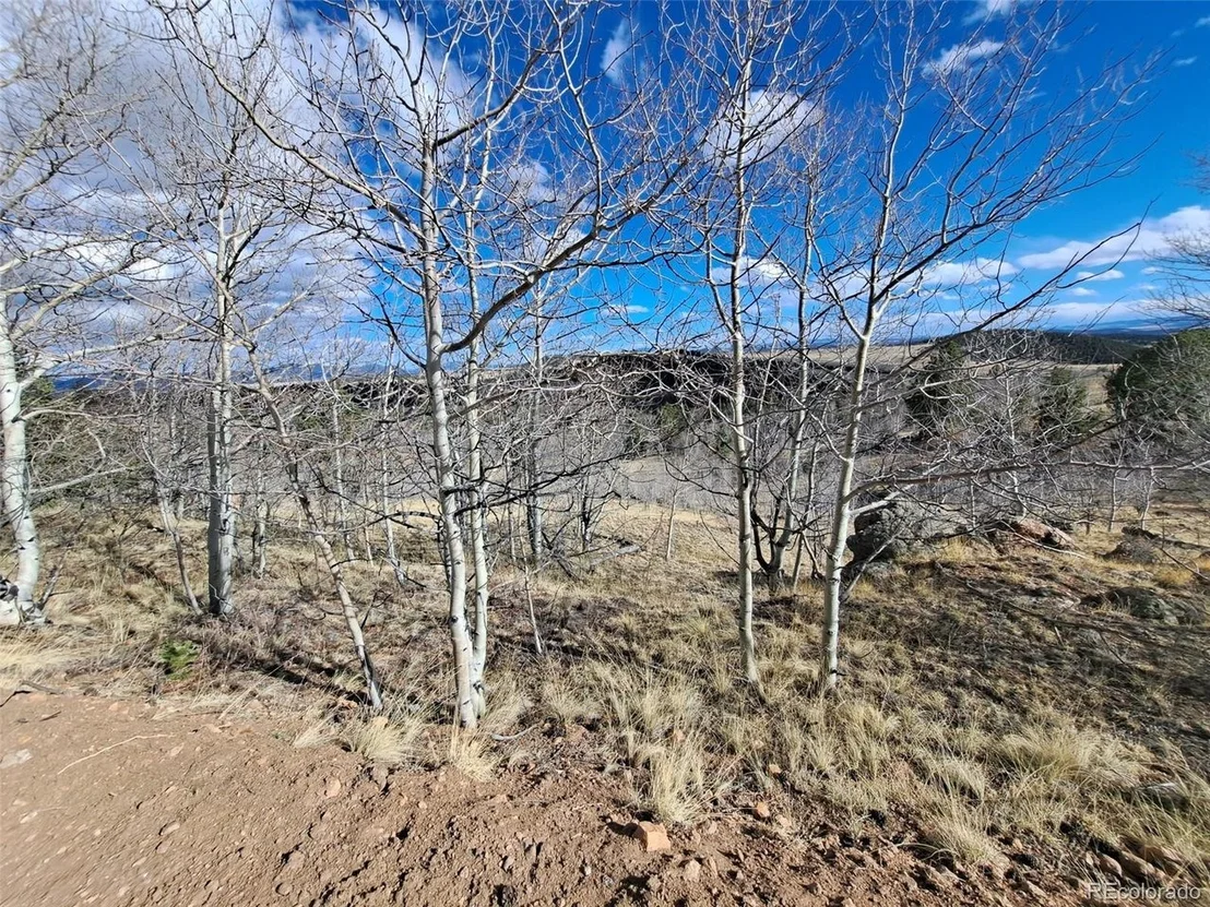 Photo of 908 Raven Way