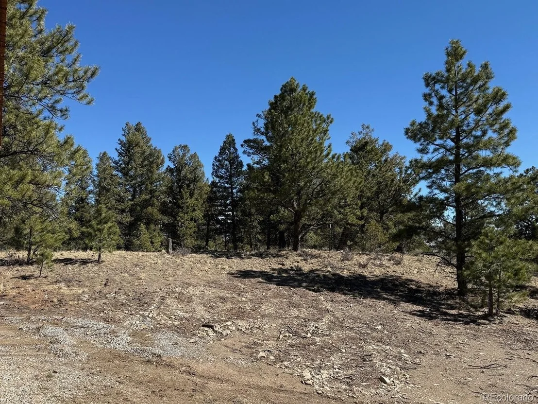 Photo of 909 Pitchfork Rd