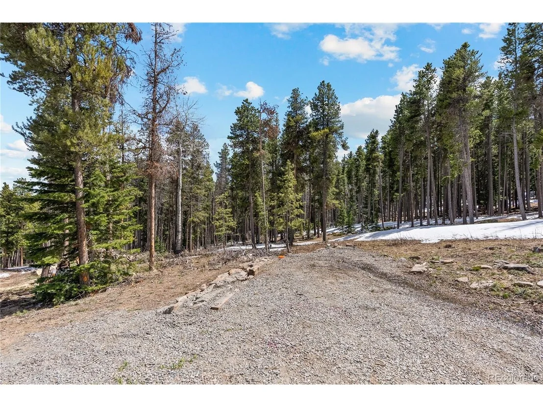 Photo of 1123 Lodgepole Dr