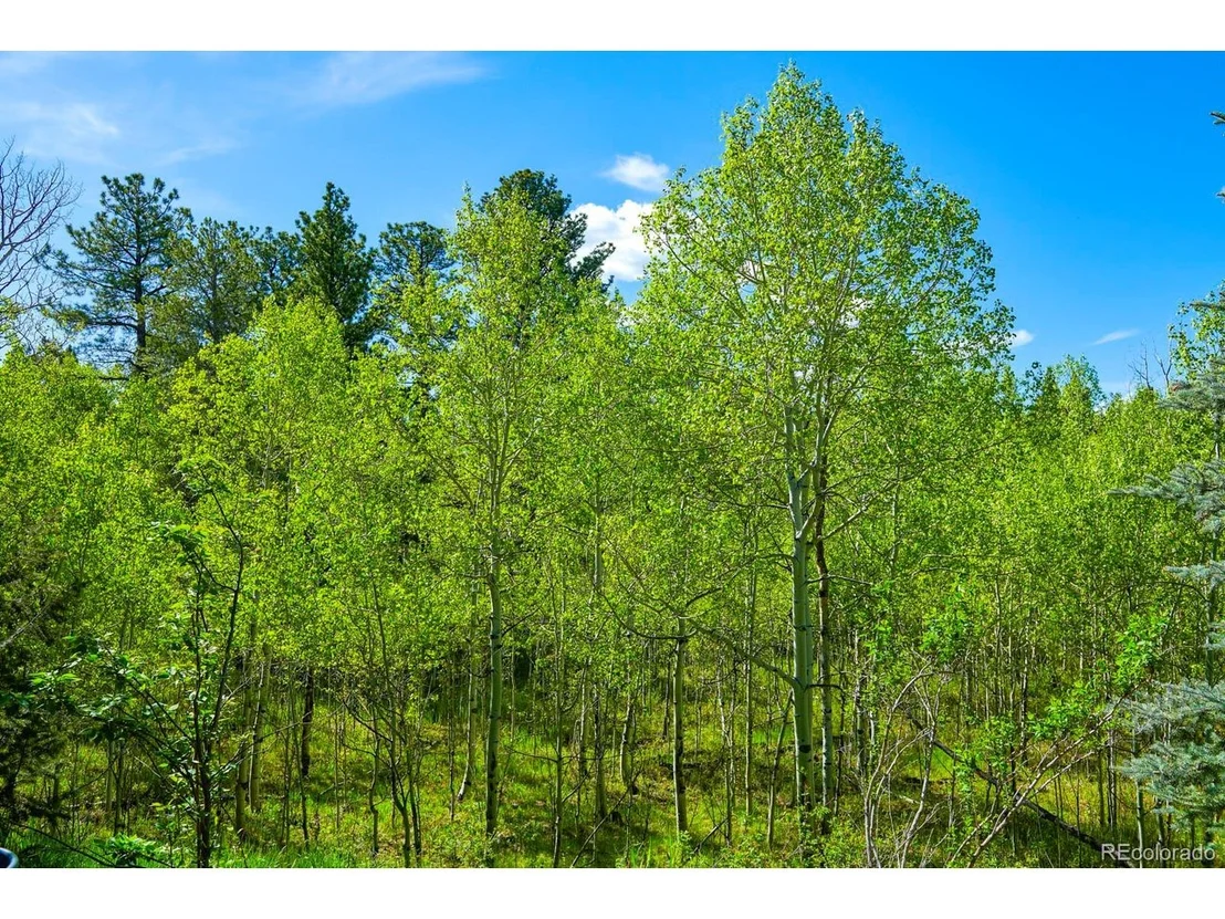 Photo of 142 Thunder Ridge Rd