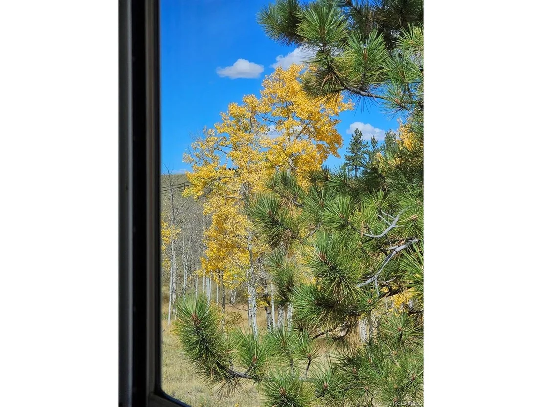 Photo of 51 Singletree Ln
