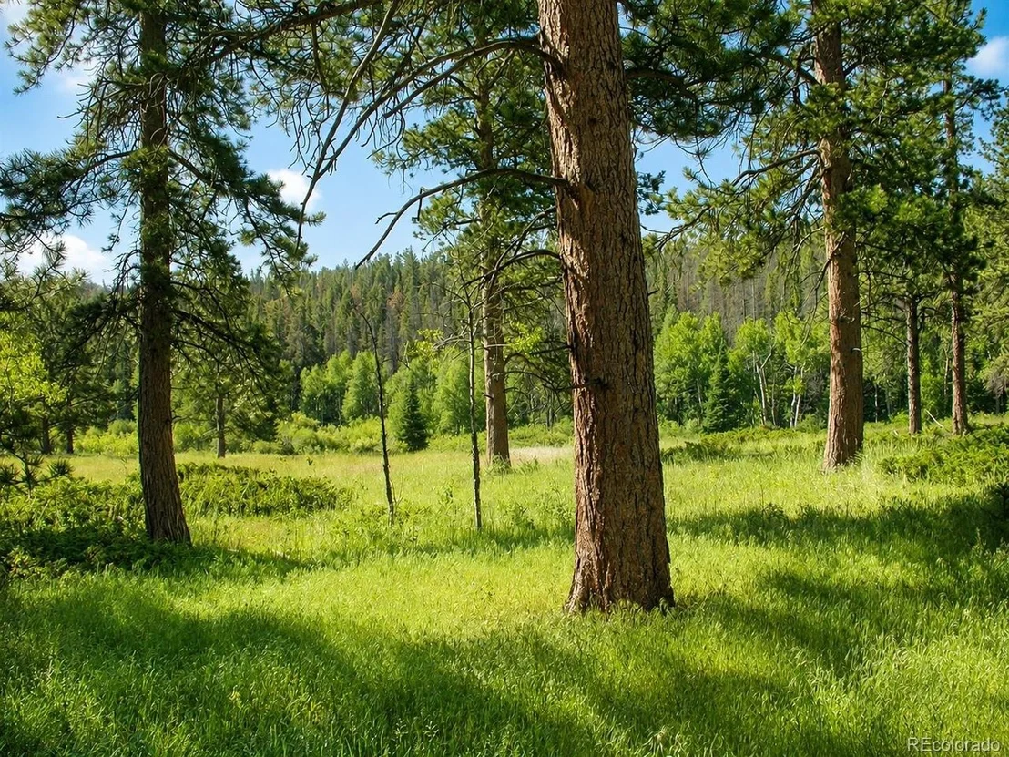 Photo of 1001 County Road 86