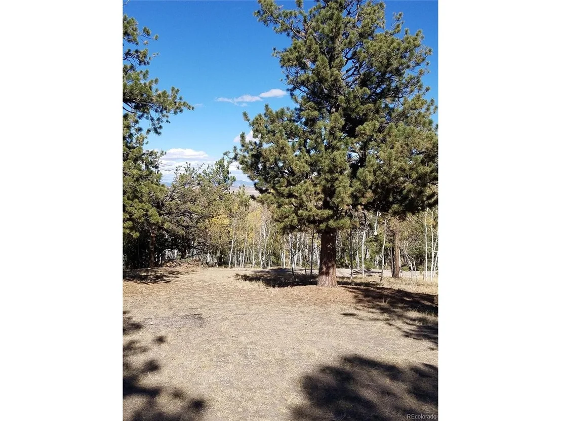 Photo of 1080 Brahma Cir