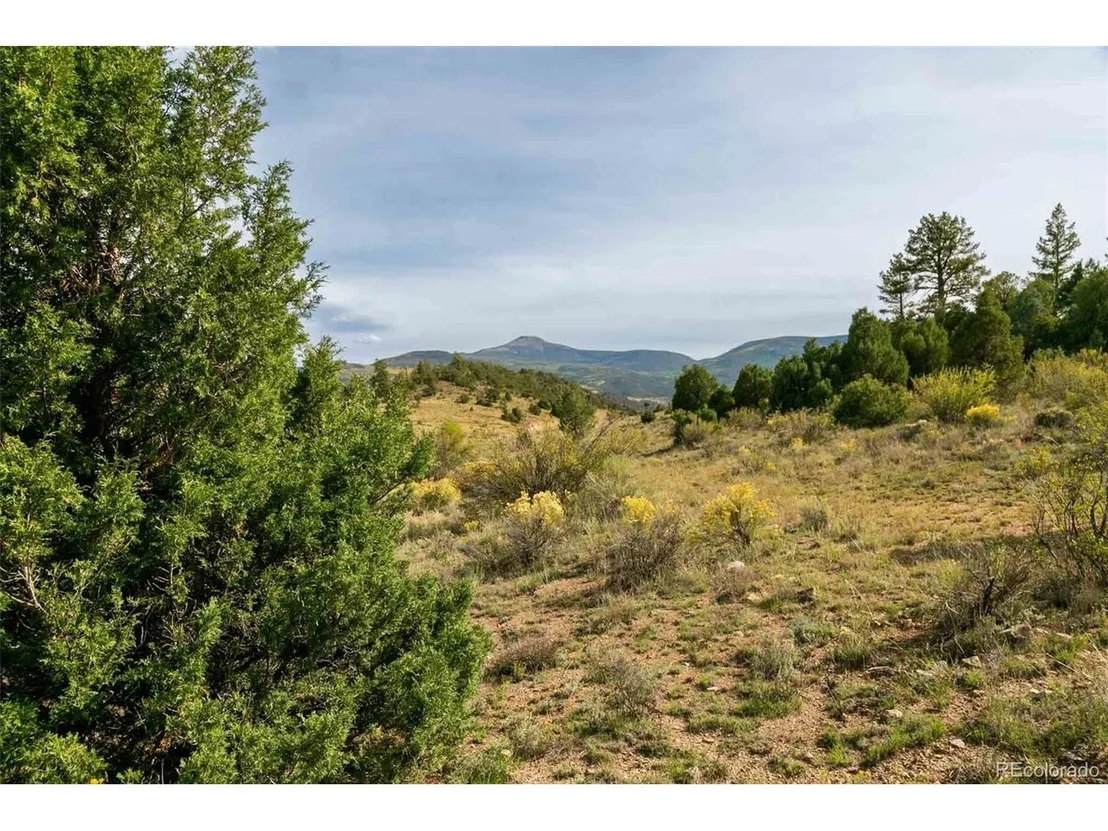 Photo of 963 Bear Creek Cir