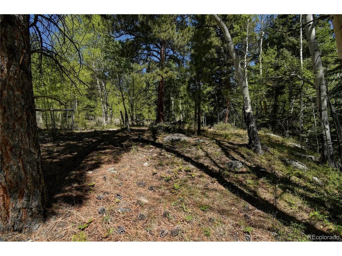 Photo of 8525 County Road 225