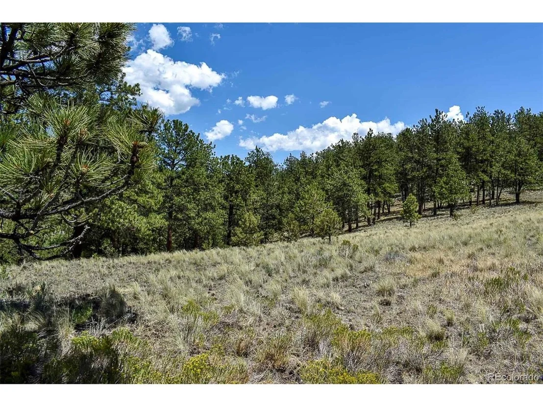Photo of 4278 County Road 71
