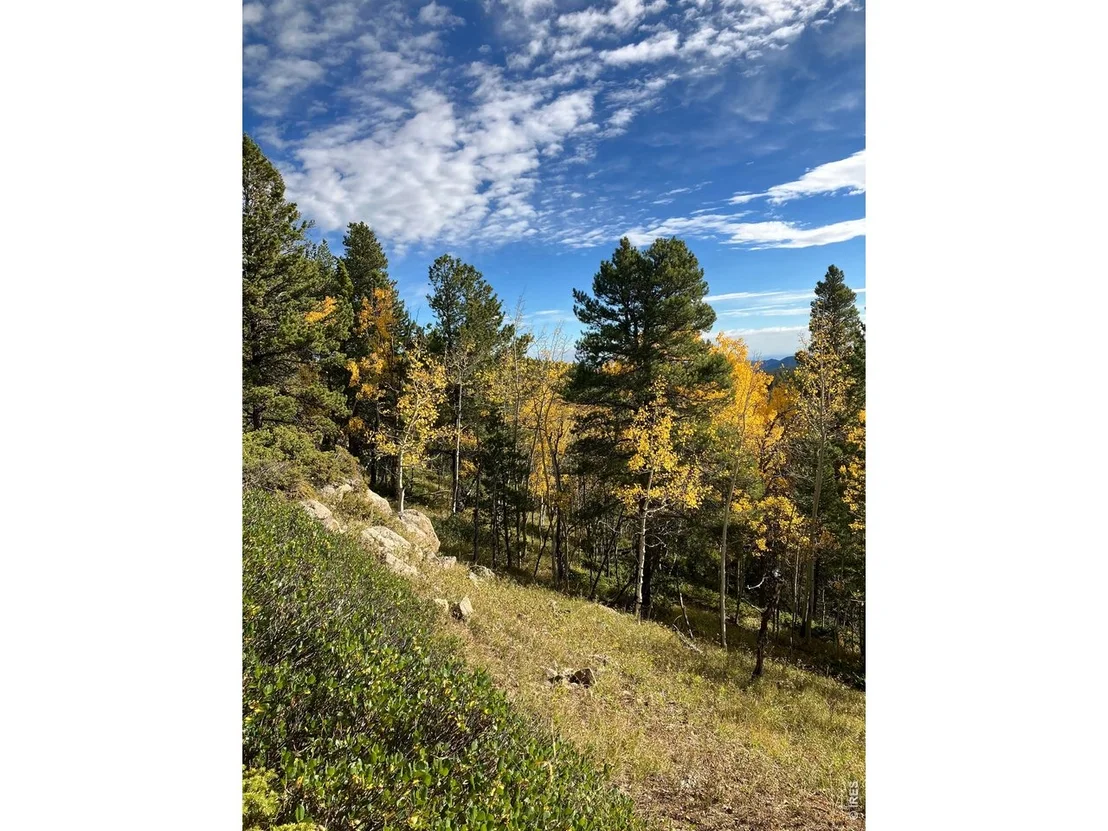 Photo of 1199 Brainard Lake Rd