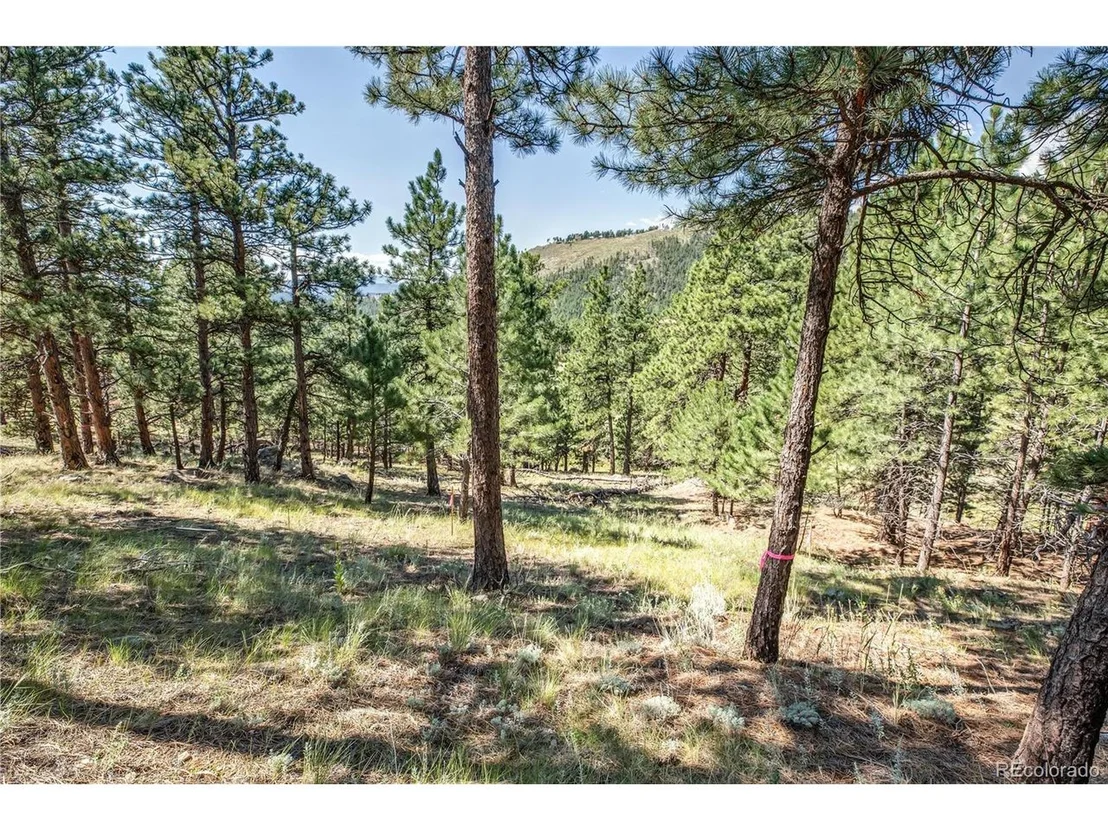 Photo of 117 County Road 83
