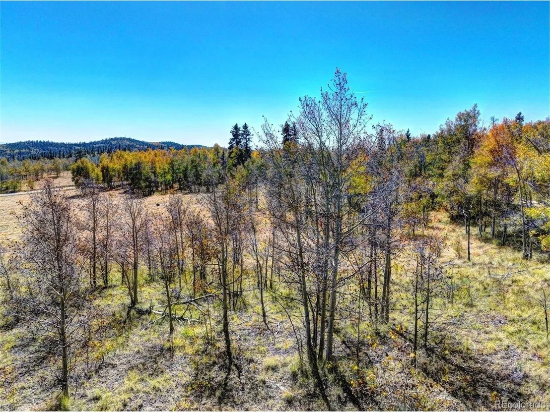 Photo of 74 Antelope Cir
