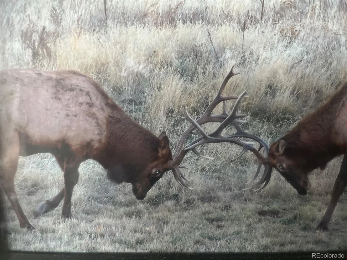Photo of 25149 US Highway 40