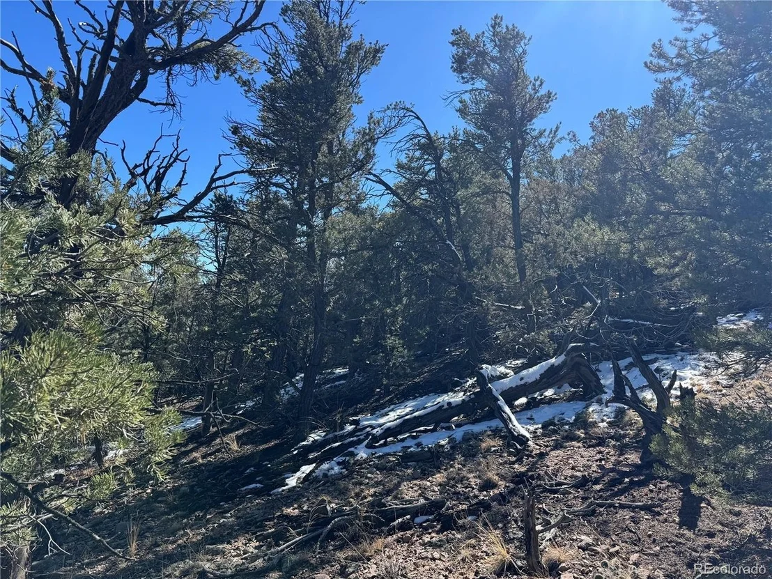 Photo of 1114 Kevin Dr