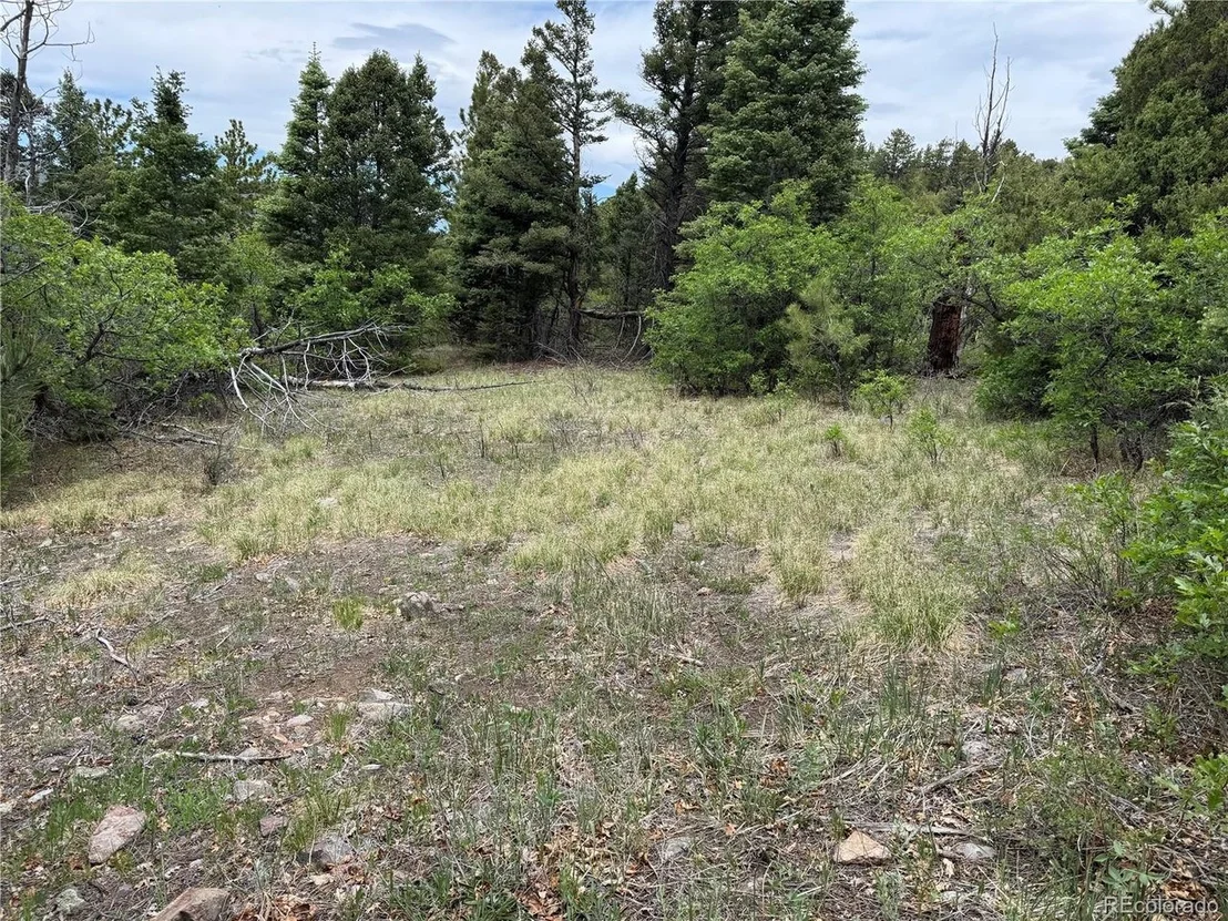 Photo of Knotty Pine Rd