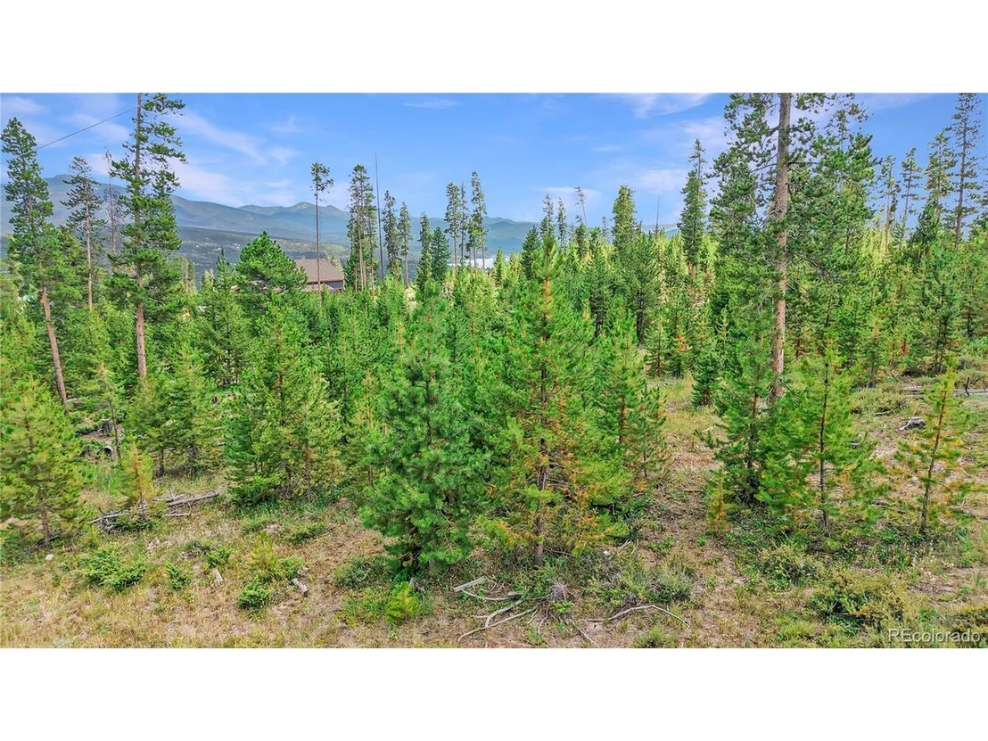 Photo of 90 County Road 452