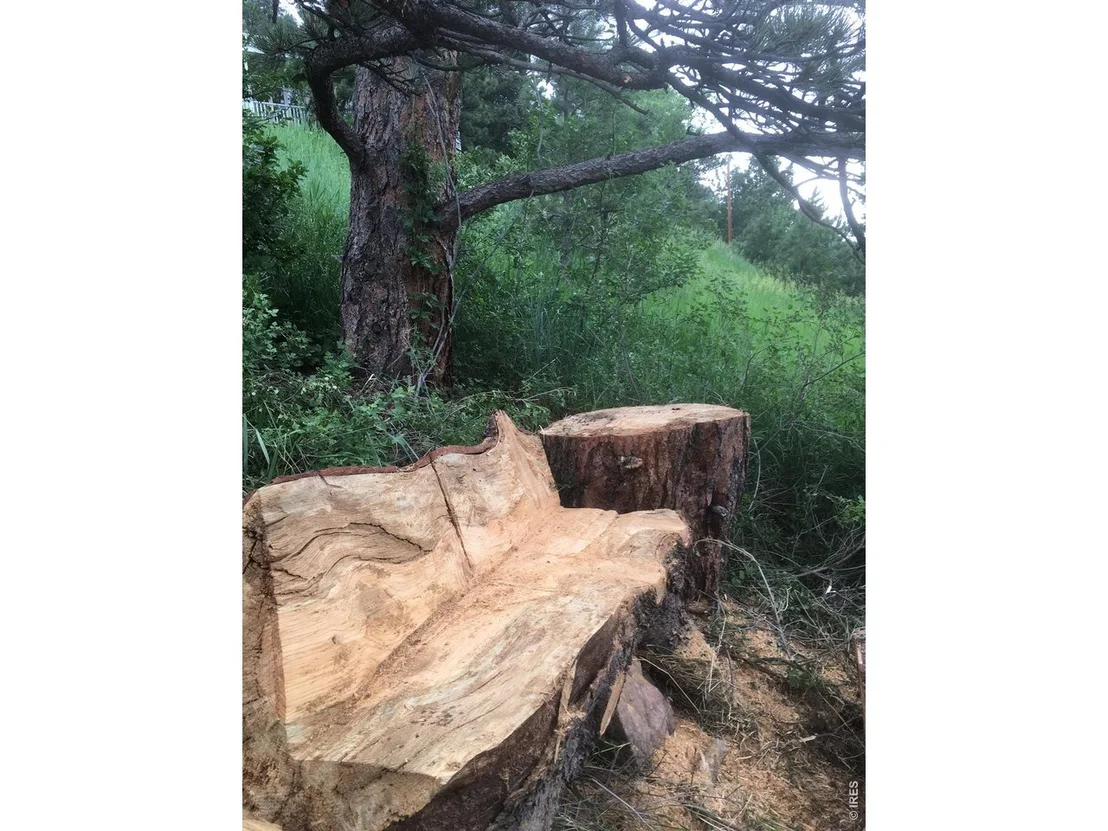 Photo of 7267 Olde Stage Rd