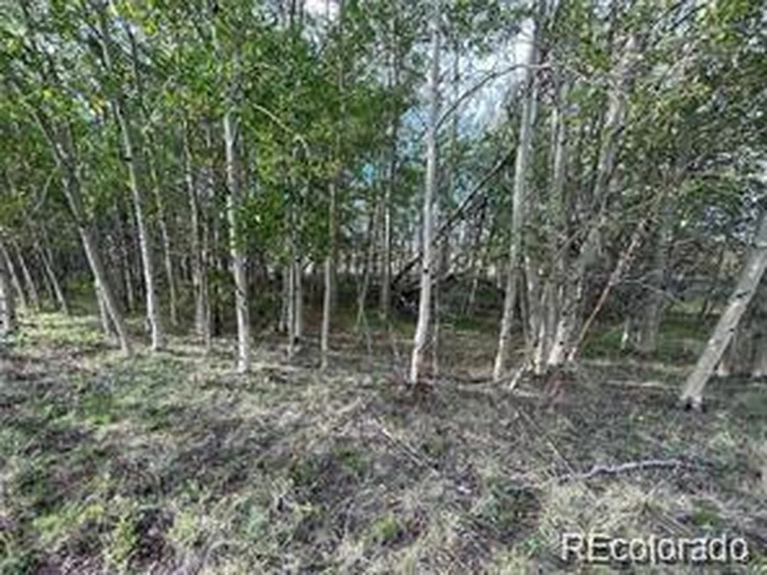 Photo of 1599 Campfire Rd