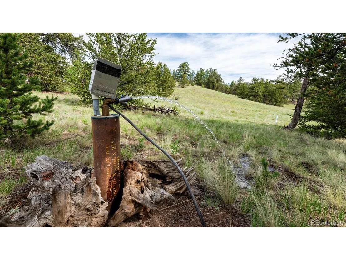 Photo of 5 Elk Height Ln
