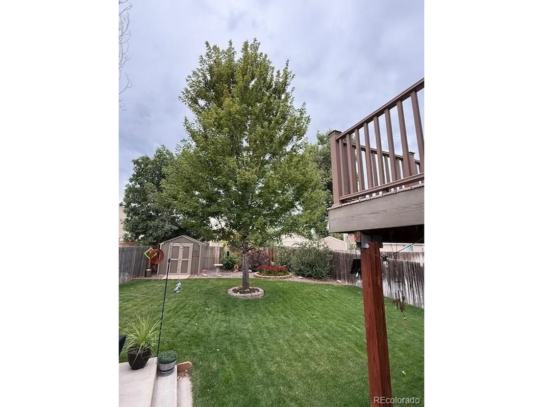 Photo of 8421 Rabbitbrush Way