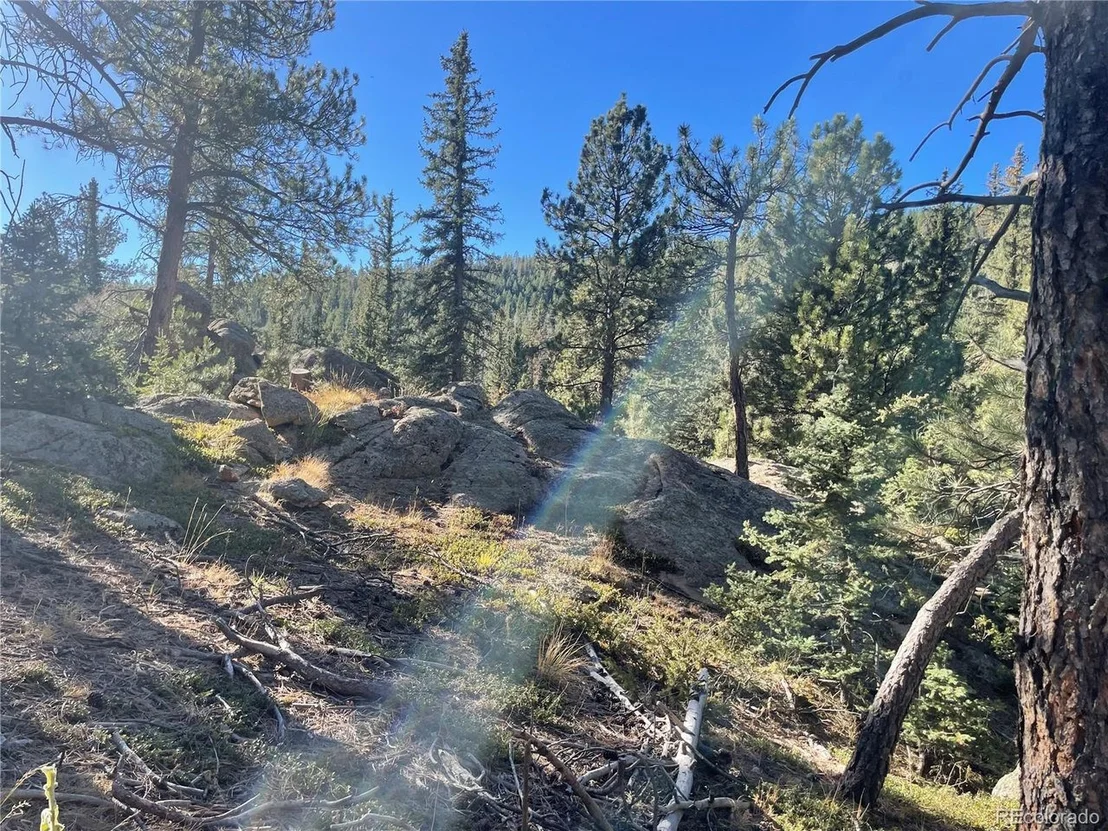 Photo of Shadow Mountain Dr