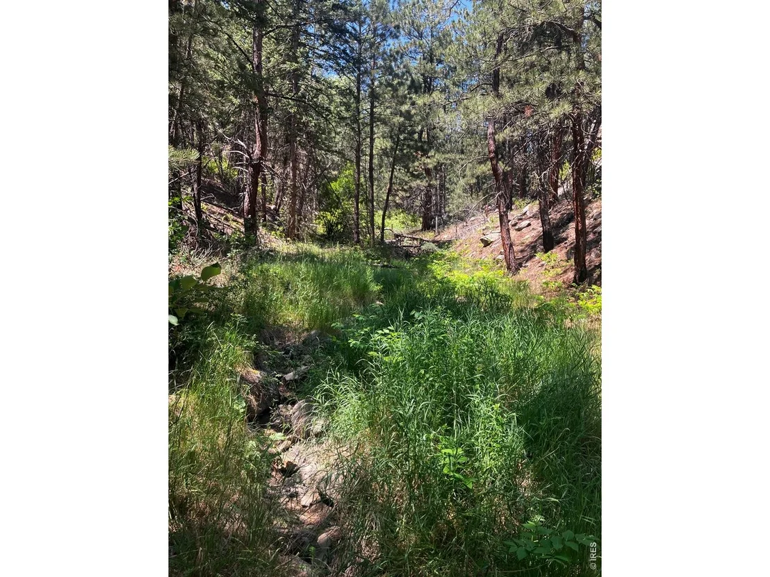 Photo of 5550 Sunshine Canyon Dr